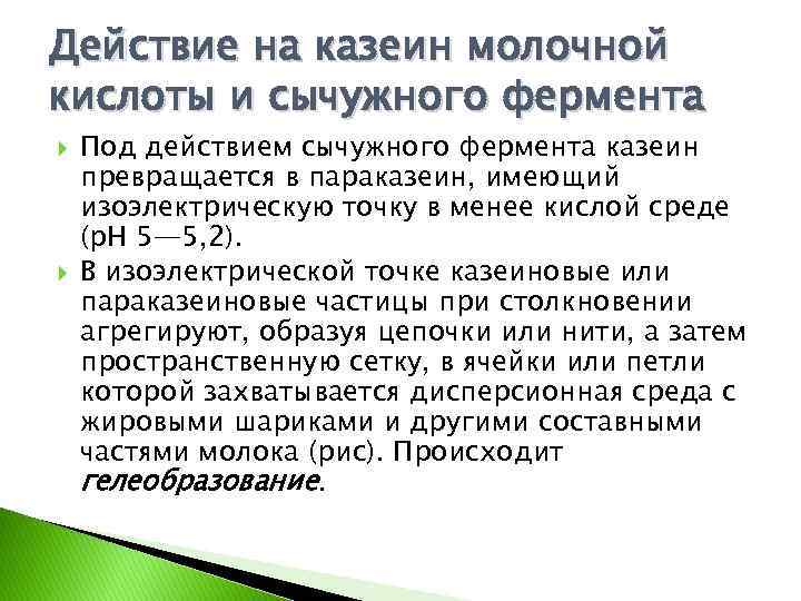 Действие на казеин молочной кислоты и сычужного фермента Под действием сычужного фермента казеин превращается