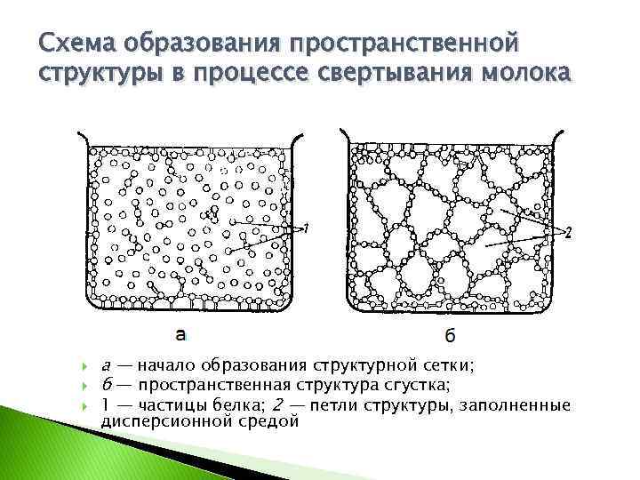 Схема образования пространственной структуры в процессе свертывания молока а — начало образования структурной сетки;