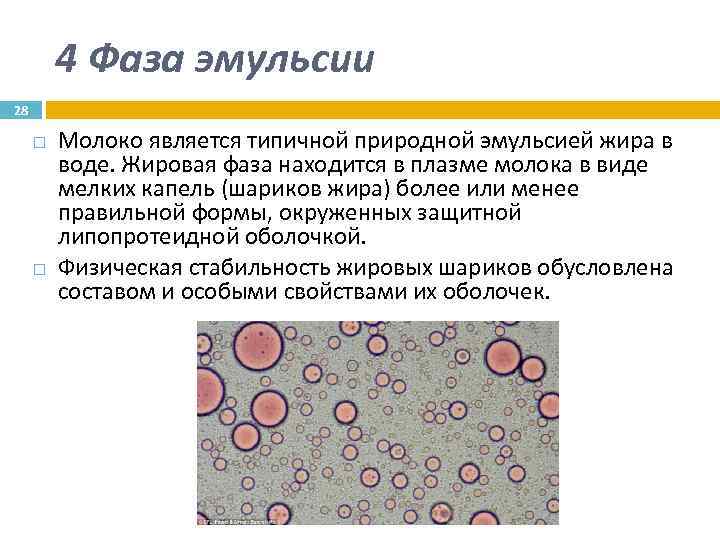 Схема расположения молекул эмульгатора на капельке дисперсной фазы в эмульсиях м в и в м