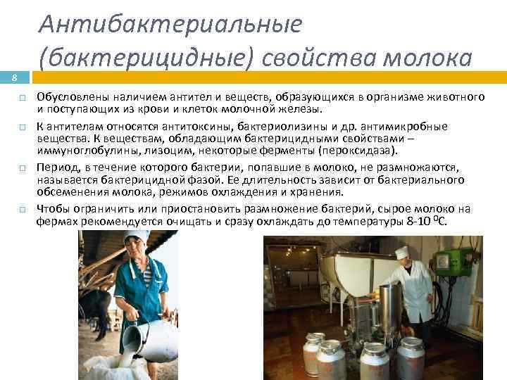 Антибактериальные (бактерицидные) свойства молока 8 Обусловлены наличием антител и веществ, образующихся в организме животного