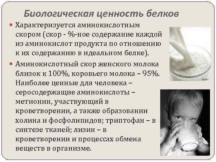 Биологическая ценность белков Характеризуется аминокислотным скором (скор - %-ное содержание каждой из аминокислот продукта