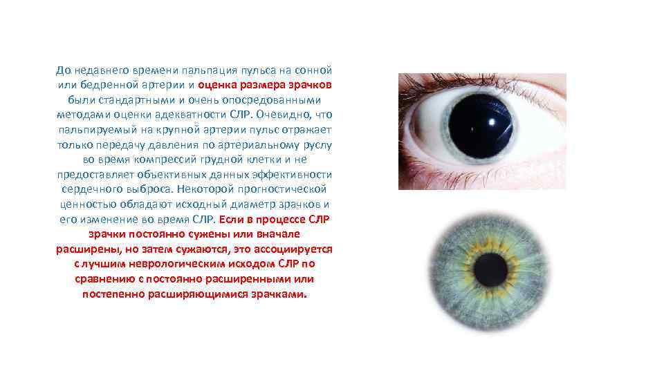 До недавнего времени пальпация пульса на сонной или бедренной артерии и оценка размера зрачков