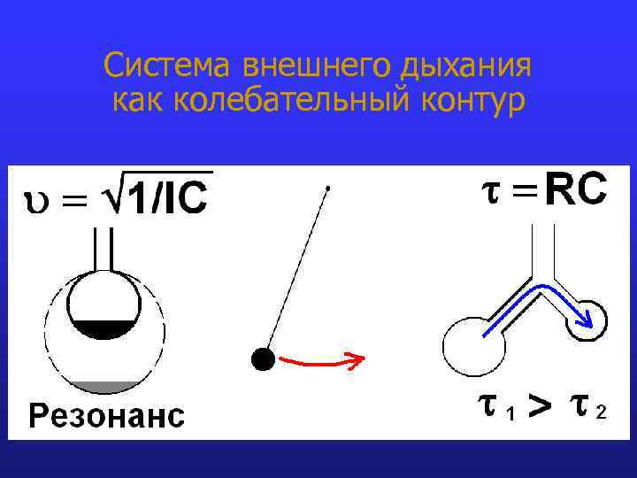 Система внешнего дыхания как колебательный контур 