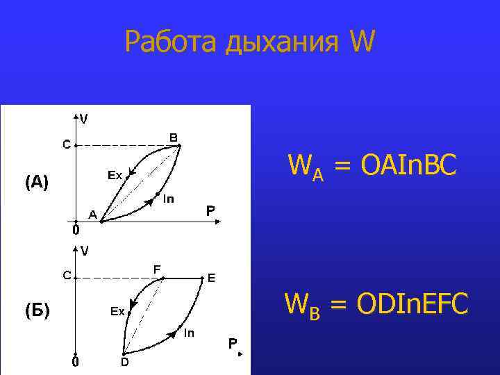 Работа дыхания W WA = OAIn. BC WB = ODIn. EFC 