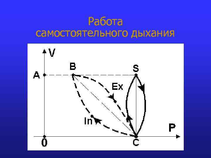 Работа самостоятельного дыхания 