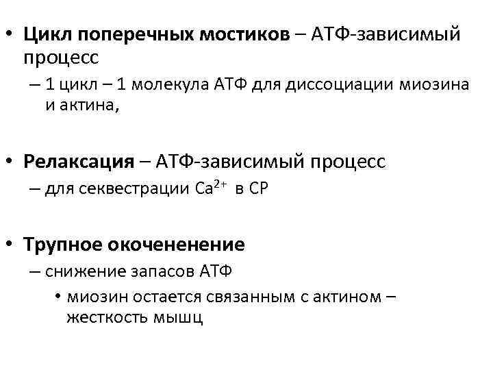  • Цикл поперечных мостиков – АТФ-зависимый процесс – 1 цикл – 1 молекула