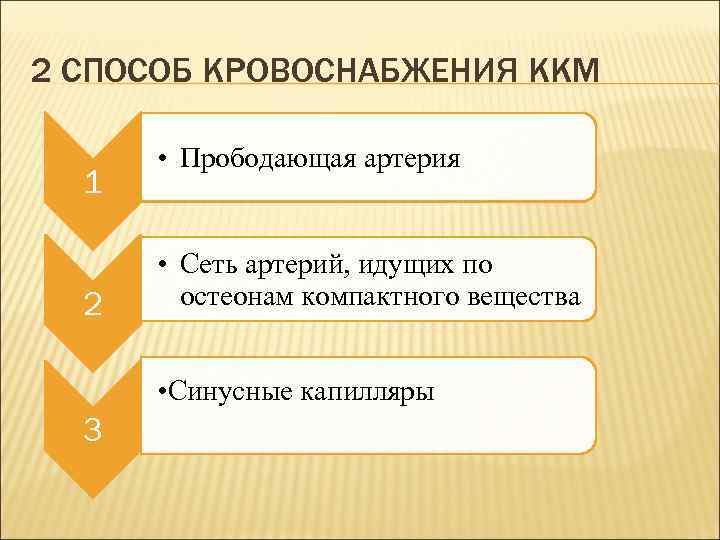 2 СПОСОБ КРОВОСНАБЖЕНИЯ ККМ 1 2 • Прободающая артерия • Сеть артерий, идущих по