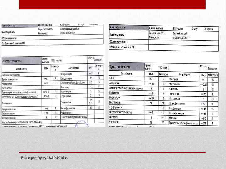 Екатеринбург, 18. 10. 2016 г. 