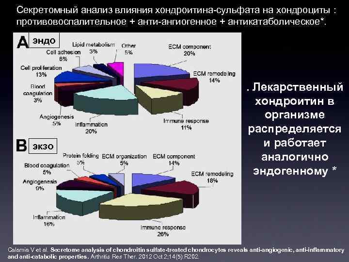 Секретомный анализ влияния хондроитина-сульфата на хондроциты : противовоспалительное + анти-ангиогенное + антикатаболическое*. эндо экзо