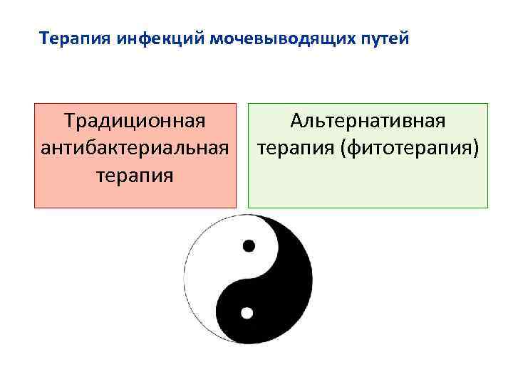 Терапия инфекций мочевыводящих путей Традиционная антибактериальная терапия Альтернативная терапия (фитотерапия) 
