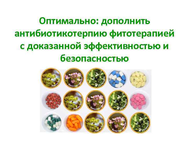 Оптимально: дополнить антибиотикотерпию фитотерапией с доказанной эффективностью и безопасностью 