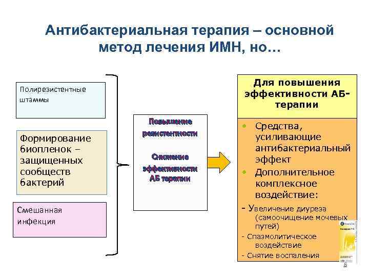 Антибактериальная терапия – основной метод лечения ИМН, но… Для повышения эффективности АБтерапии Полирезистентные штаммы