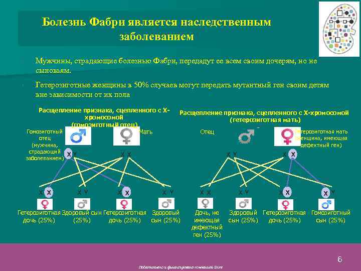 Болезнь Фабри является наследственным заболеванием • Мужчины, страдающие болезнью Фабри, передадут ее всем своим