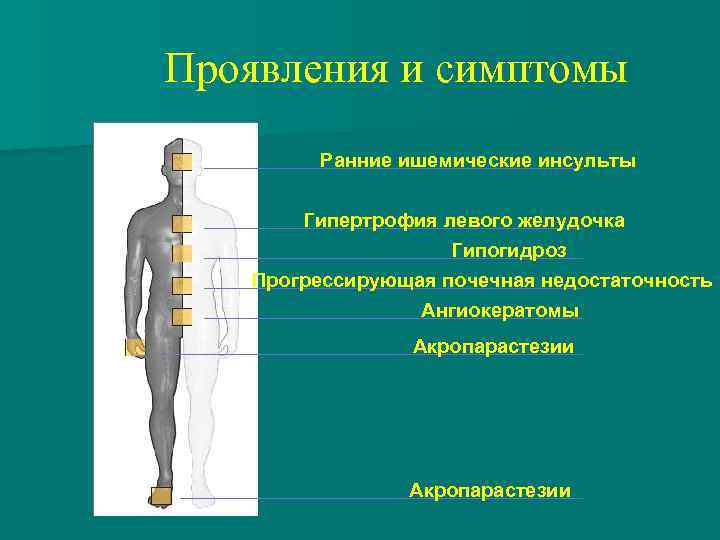 Проявления и симптомы Ранние ишемические инсульты Гипертрофия левого желудочка Гипогидроз Прогрессирующая почечная недостаточность Ангиокератомы