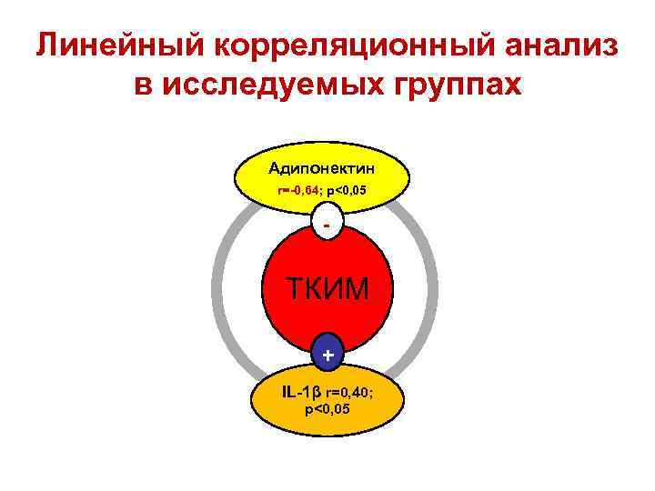 Линейный корреляционный анализ в исследуемых группах Адипонектин r=-0, 64; p<0, 05 - ТКИМ +