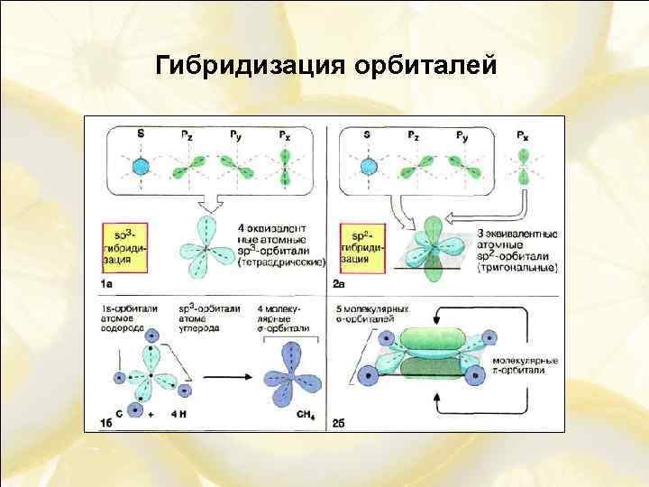 Гибридизация орбиталей 