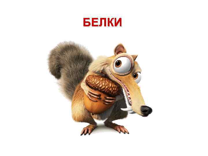 БЕЛКИ 