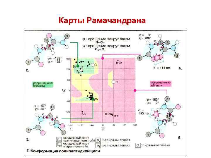 Карты Рамачандрана 