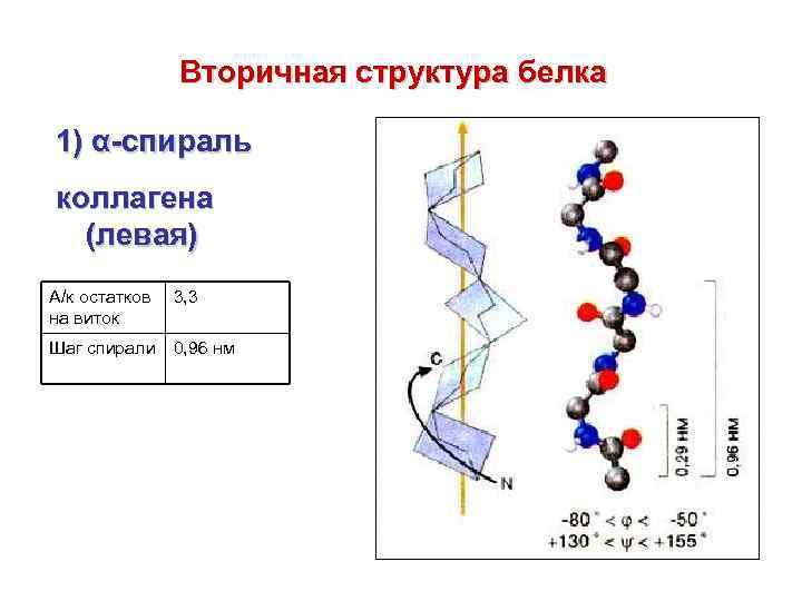 Характеристика вторичной структуры белка