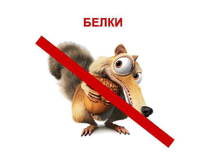 БЕЛКИ 