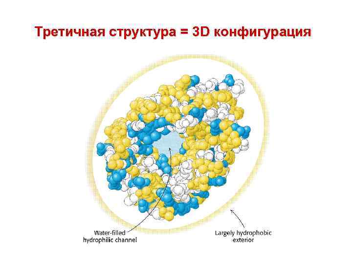 Третичная структура = 3 D конфигурация 