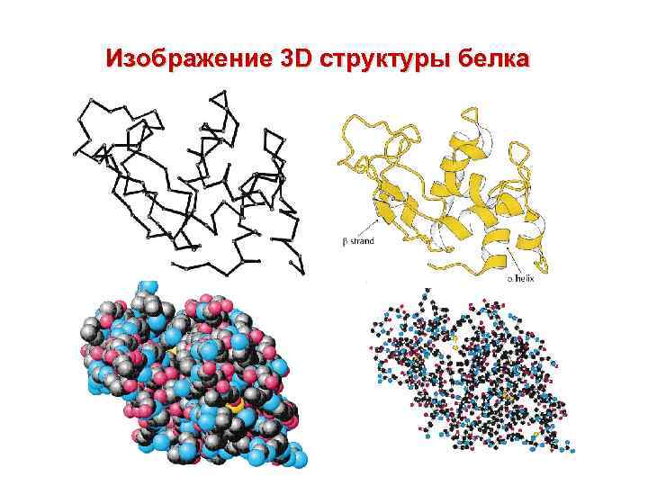 1 структура белка. Неупорядоченная структура белка. Белок 3 структуры. Строение белков 3 структура. 3 Структура белка.