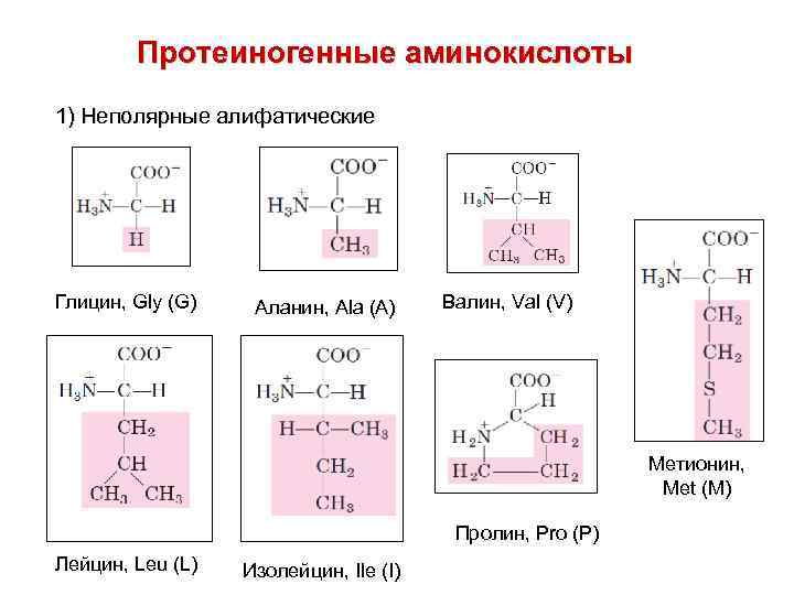 Протеиногенные аминокислоты 1) Неполярные алифатические Глицин, Gly (G) Аланин, Ala (A) Валин, Val (V)