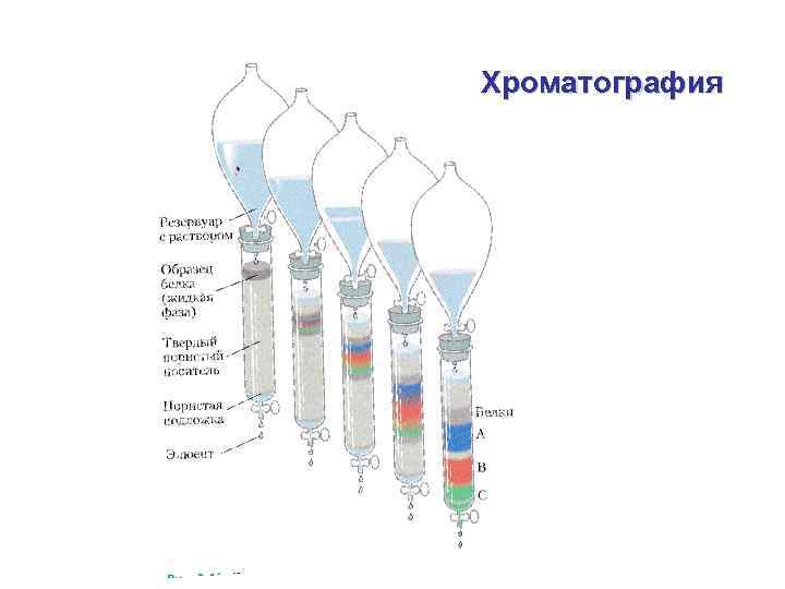 Колоночная хроматография схема