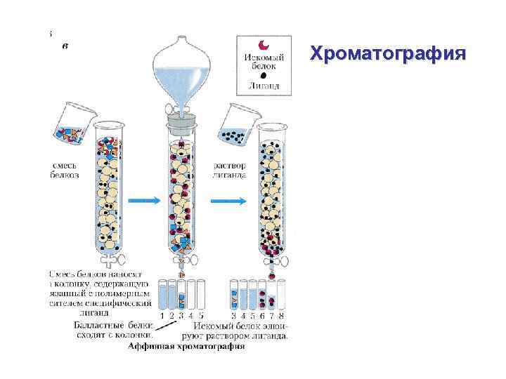 Препаративная хроматография схема