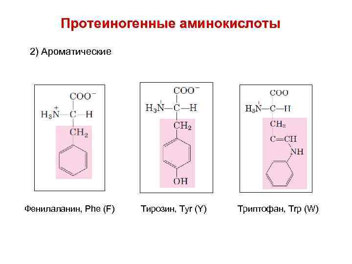 Протеиногенные аминокислоты 2) Ароматические Фенилаланин, Phe (F) Тирозин, Tyr (Y) Триптофан, Trp (W) 