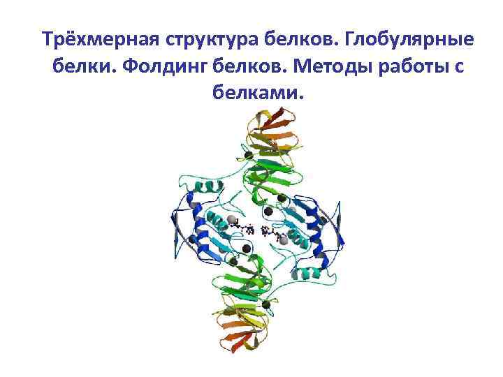 Трёхмерная структура белков. Глобулярные белки. Фолдинг белков. Методы работы с белками. 