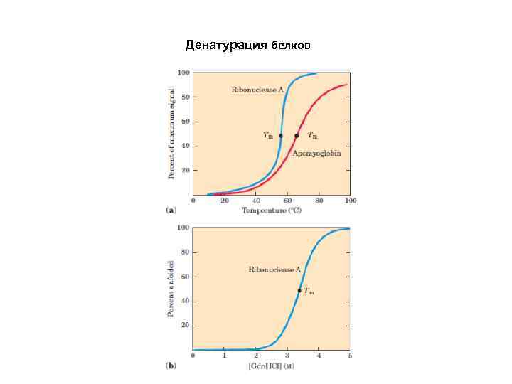 Денатурация белков 