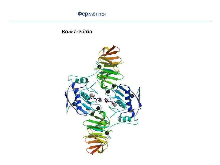 Классы белки ферменты