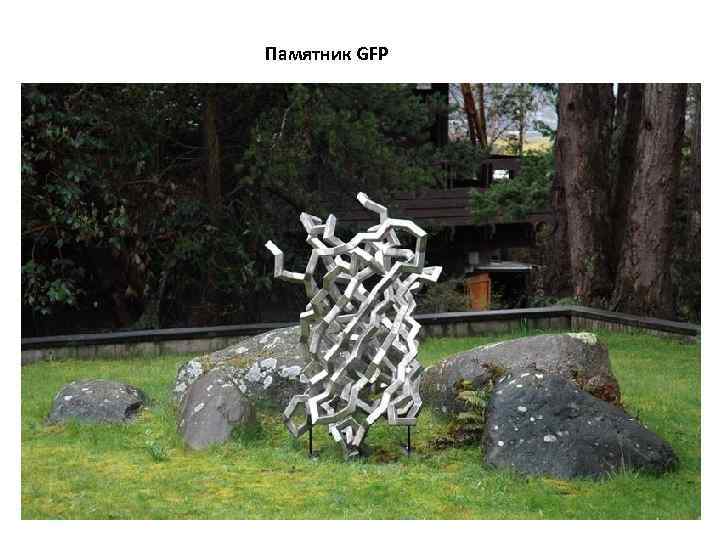Памятник GFP 