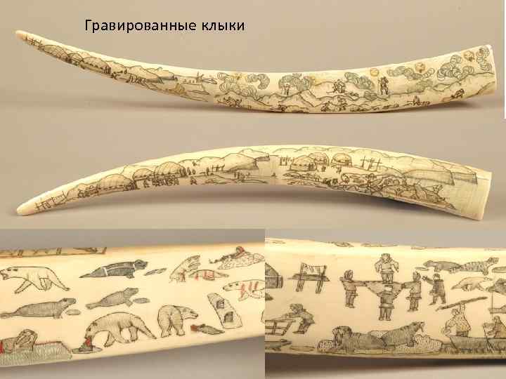 Гравированные клыки 