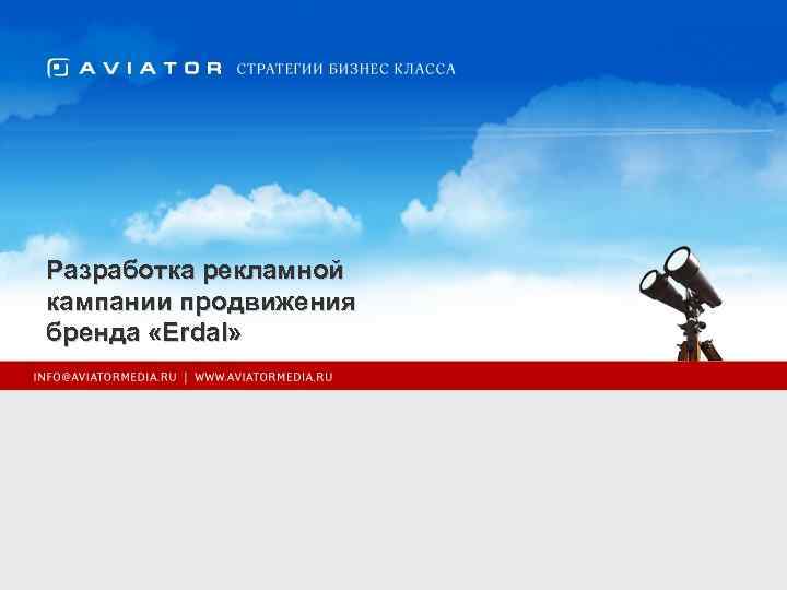 Разработка рекламной кампании продвижения бренда «Erdal» 
