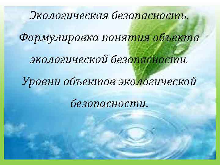 Экологическая безопасность. Формулировка понятия объекта экологической безопасности. Уровни объектов экологической безопасности. 