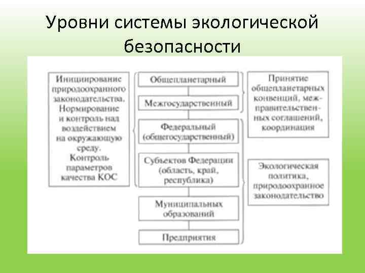 Уровни системы экологической безопасности 