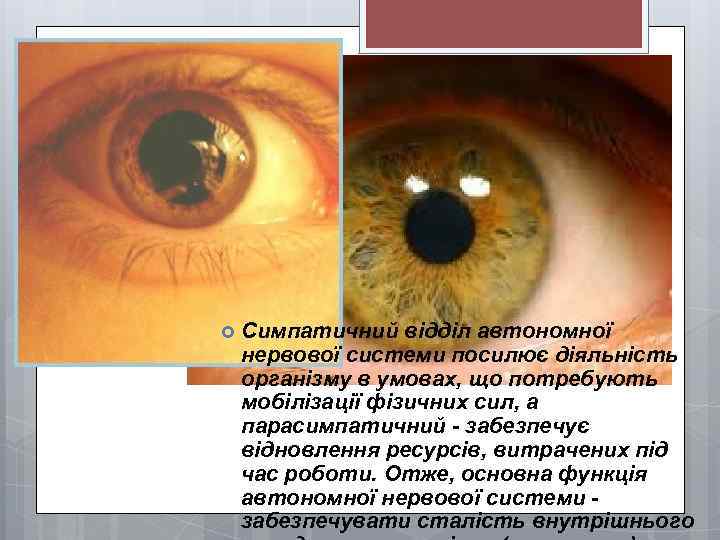  Симпатичний відділ автономної нервової системи посилює діяльність організму в умовах, що потребують мобілізації