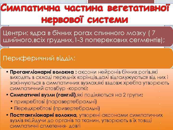 Центри: ядра в бічних рогах спинного мозку ( 7 шийного, всіх грудних, 1 -3
