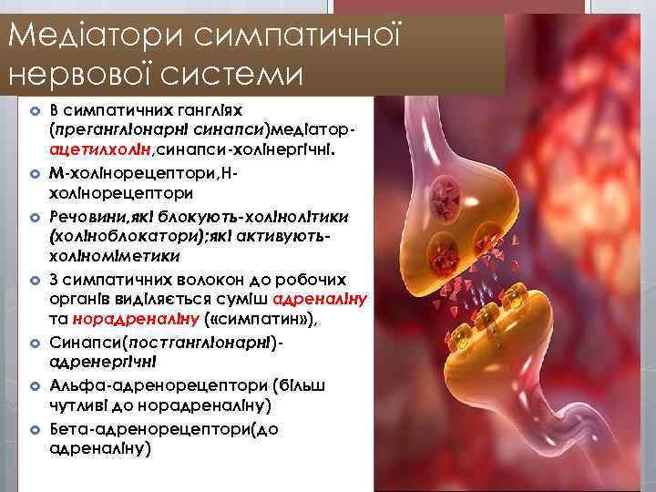 Медіатори симпатичної нервової системи В симпатичних гангліях (прегангліонарні синапси)медіаторацетилхолін, синапси-холінергічні. М-холінорецептори, Нхолінорецептори Речовини, які