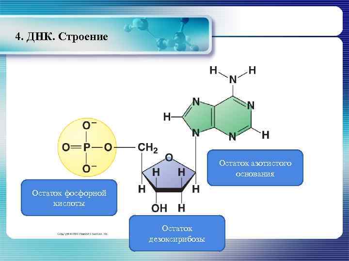 Азотистое основание атф. Остаток фосфорной кислоты ДНК. Остаток фосфорной кислоты РНК. Остаток фосфорной кислоты РНК формула. Остаток фосфорной кислоты в нуклеотидах.