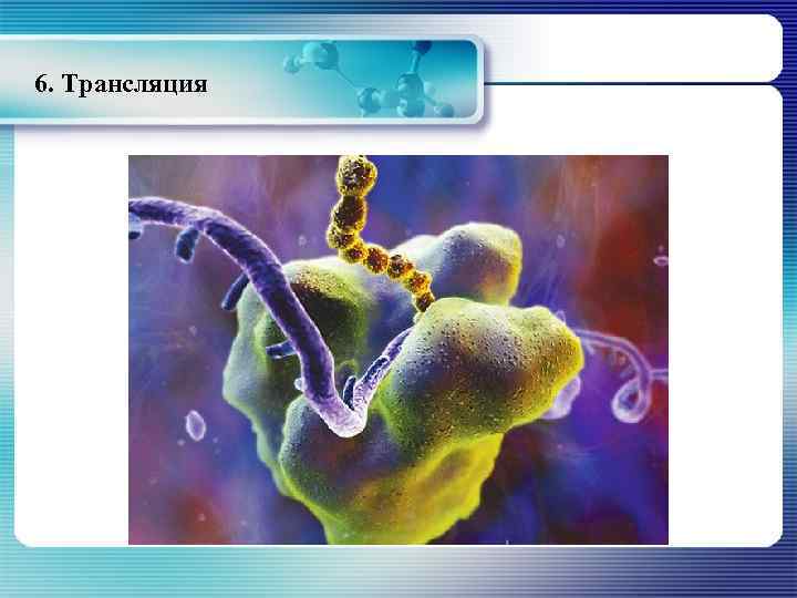 6. Трансляция 