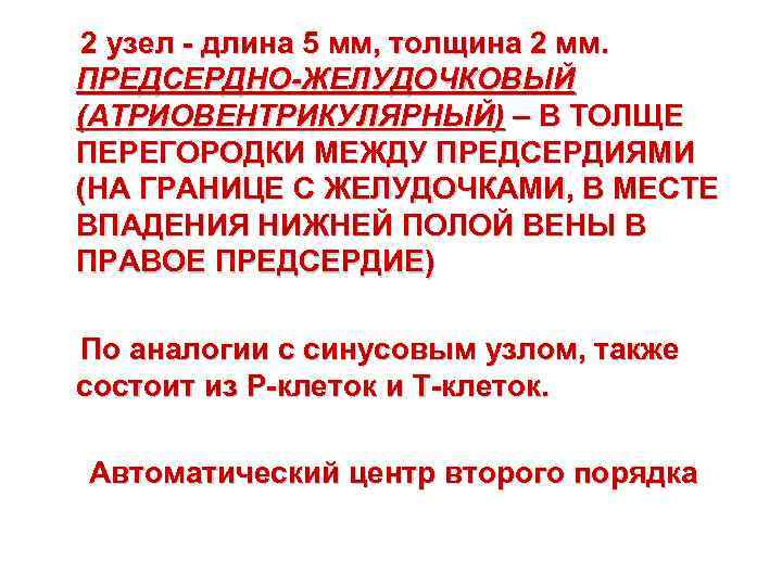 2 узел - длина 5 мм, толщина 2 мм. ПРЕДСЕРДНО-ЖЕЛУДОЧКОВЫЙ (АТРИОВЕНТРИКУЛЯРНЫЙ) – В ТОЛЩЕ