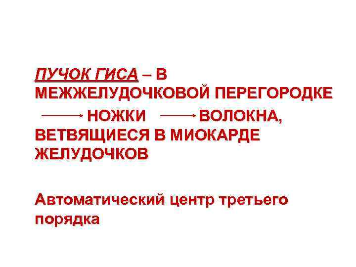 ПУЧОК ГИСА – В МЕЖЖЕЛУДОЧКОВОЙ ПЕРЕГОРОДКЕ НОЖКИ ВОЛОКНА, ВЕТВЯЩИЕСЯ В МИОКАРДЕ ЖЕЛУДОЧКОВ Автоматический центр