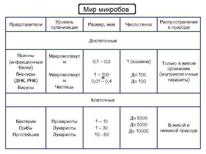 Мир микробов Представители Уровень организации Размер, мкм Число генов Распространение в природе Доклеточные Прионы