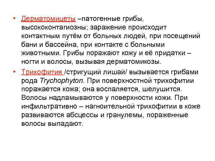  • Дерматомицеты –патогенные грибы, высококонтагиозны; заражение происходит контактным путём от больных людей, при
