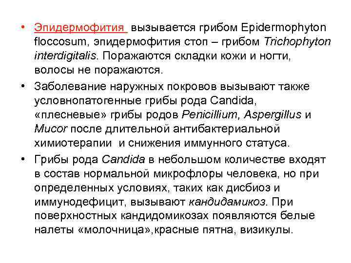  • Эпидермофития вызывается грибом Epidermophyton floccosum, эпидермофития стоп – грибом Trichophyton interdigitalis. Поражаются