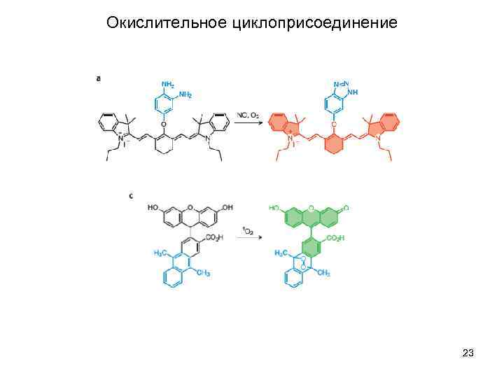 Окислительное циклоприсоединение 23 