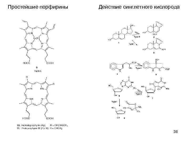 Простейшие порфирины Действие синглетного кислорода 38 